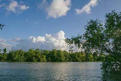 AS米兰连续五场保持零封，欧洲战场信心十足，开场6.76秒!ac米兰球员刷新欧洲五大联赛最快进球纪录